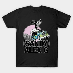 Sandy // Alex G T-Shirt